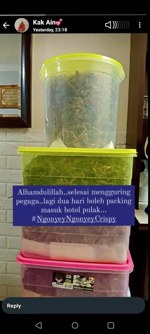 WhatsApp-Image-2024-06-06-at-15.16.59-1